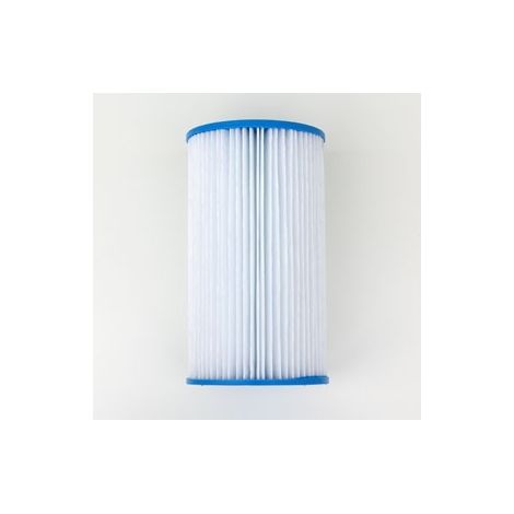 Cartouche compatible modèle B pour filtration Intex (1/2)