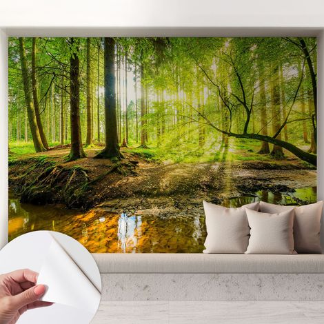 Papier peint adhésif décoratif pour salon chambre et cuisine Facile à poser avec colle Paysage verdoyant 208x146 cm (1/5)