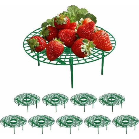 Supports à fraises amovibles en plastique pour plants de fraises, lot de 10 (1/4)