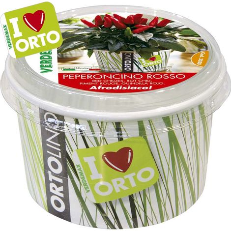KIT ORTOLINO PEPERONCINO ROSSO (1/2)