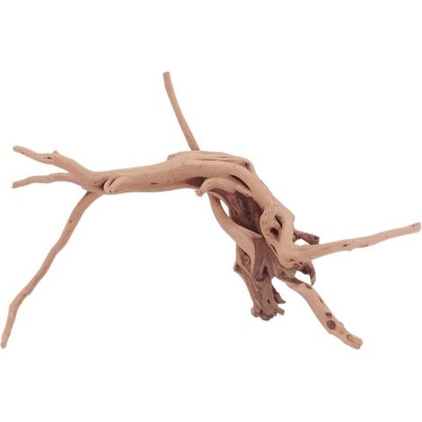 M Moorkienwurzel Nr.4396 Holz Deko Aquascaping