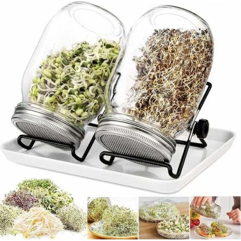 Kit per la germinazione di semi biologici in 2 pezzi – Set di 2 vasetti per la germinazione – Include vasetti per la germinazione, vassoio per la germinazione e semi – Contiene una guida e un video tu
