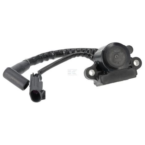 Bobine d'allumage BRIGGS & STRATTON 593856 (1/2)