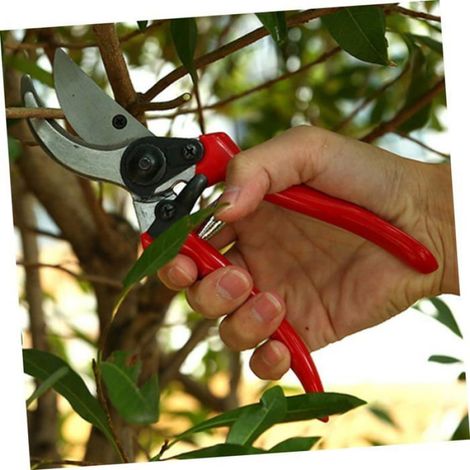 Ciseaux de greffage - Acier inoxydable - Opération simple - Vitesse de coupe rapide - Efficacité améliorée (1/5)