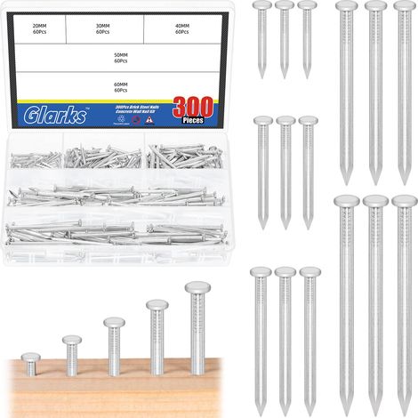 300pcs 20/30/40/50/60mm brique acier clous Kit, Zinc Blanc acier au carbone Hardware clous, clous de finition, Brad et picture suspension clous, clous en bois, ciments clous (1/5)