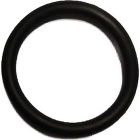 Junta Torica Vaso Nivel compatible con Gmb55 19X2,65  Ref 449535