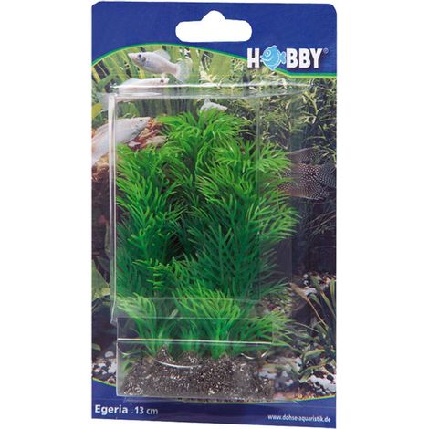 Hobby Egeria, 13 cm - künstliche Aquariumpflanze (1/2)
