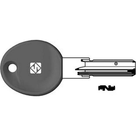5PZ CHIAVI PUNZONATE PER CILINDRI ISEO 5+6+6 SPINE IE38RP - IE38RP