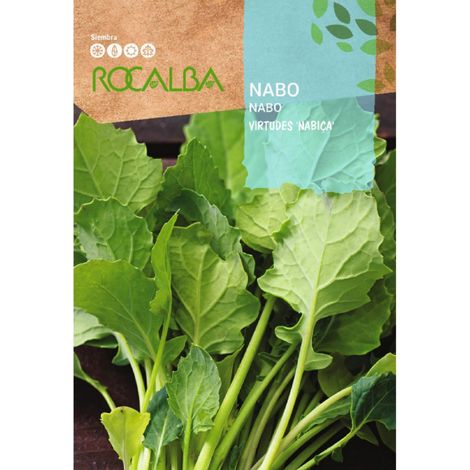 Rokalba Nabo Virdes "NabiÐ´Ð—a" 10G