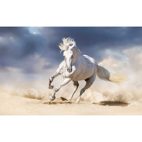 Tableau animal le cheval blanc - 80x50 cm Toile imprimée (1/5)