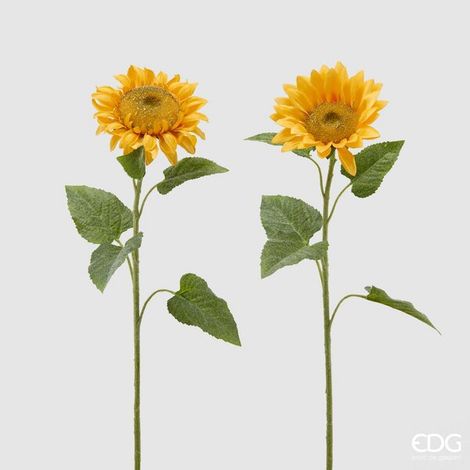 EDG Enzo De Gasperi Girasole Rex H 60 Cm Giallo