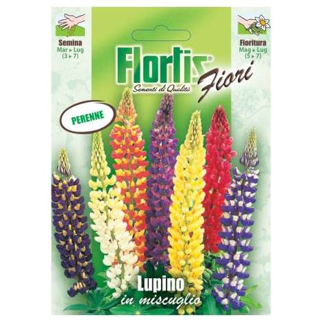 Lupino Russel Mix