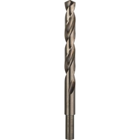 Bosch PRO Spiralbohrer Stainless Steel HSS-Co, 12,5 x 101 x 152 mm (1/5)