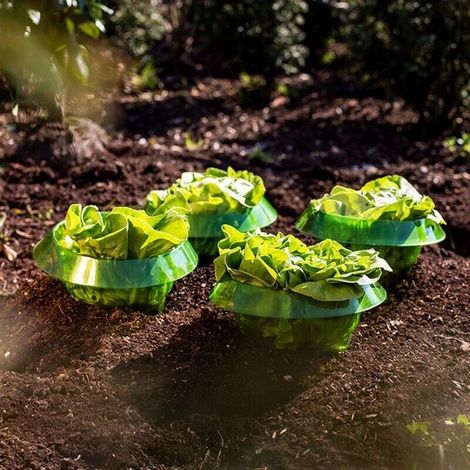 pezzi di protezioni per lumache e piante orticole, collari antichiocciola, protezioni per il giardino (1/4)