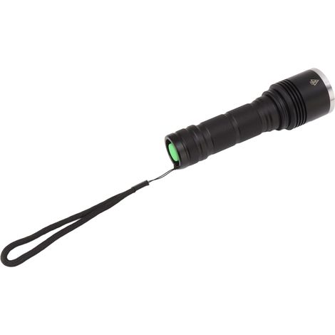 Lampe torche UV 365 nm rechargeable par USB, détecteur d'urine animale pour le durcissement de la résine (1/5)