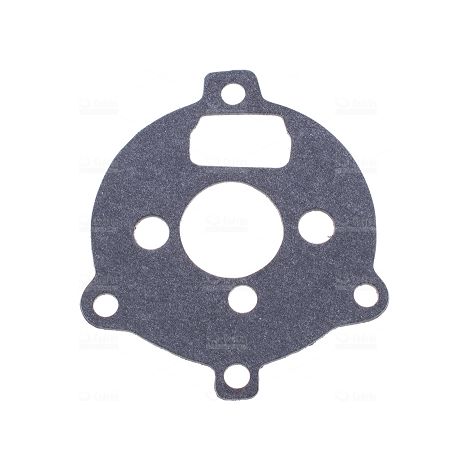 Joint de carburateur Briggs & Stratton (pièce de rechange)