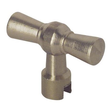 CLE LAITON POUR TETE CACHE ENTREE (1/2)