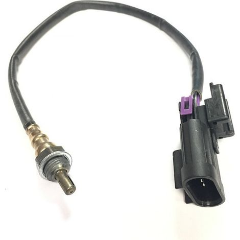 Capteur d'oxygène 4016021 - Pièce d'origine constructeur - Test haute efficacité et précision, spécifique au véhicule (compatible with plusieurs modèles) (1/4)