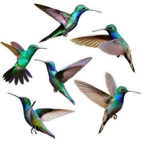 Autocollants transparents respectueux des oiseaux, 2-CBCJD204 (1/2)