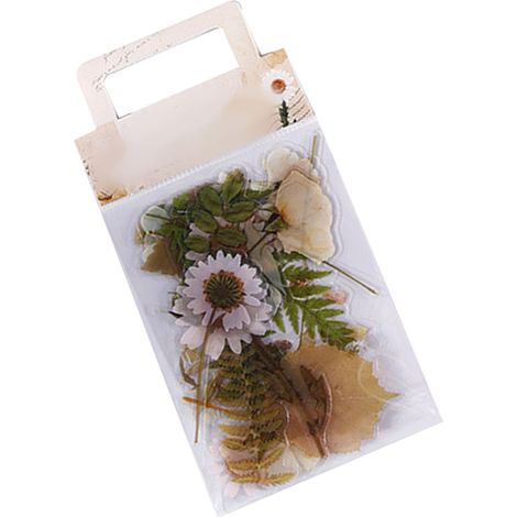 Mu Ran PET Sticker Pack - Wilderness Depths Series : Stickers pour journal DIY sur le thème des plantes (40 pièces) - Blanc uni (1/5)