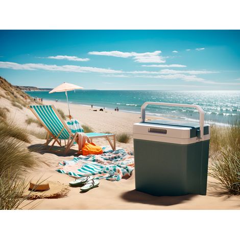 Thermoelektrische Auto Kühlbox Anthrazit, 30 Liter, 230V 12V (1/5)