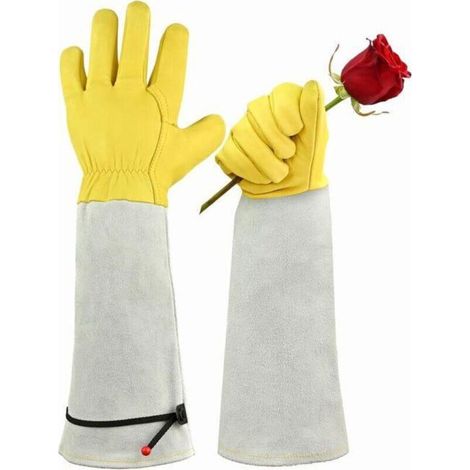 Gants de Jardinage avec Protection des Avant-bras - Résistants aux Épines-L (1/3)