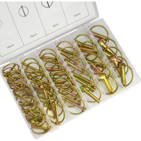 ASSORTIMENTO 50 SPINE SPINA A SCATTO COPPIGLIE FERMI PERNI SPINOTTI