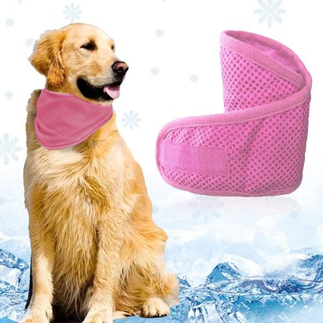 Bandana Chien Refroidissement, Réglable Collier Rafraichissant Chien, Collier Bandana Chiens pour L'été, Réutilisable pour Activités en Plein Air, Confortable et Fraîche Moyens Grands, L Rose (1/5)