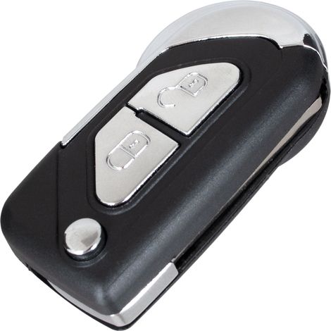 Boîtier de télécommande 2 boutons pour Citroën DS3 09-16 (1/5)
