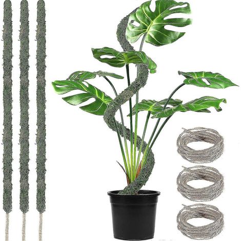 Lot de 3 tuteurs en mousse flexibles de 165 cm (65 pouces) faits main, pour plantes grimpantes, idéales pour les Monstera et autres plantes en pot d'intérieur. (1/5)