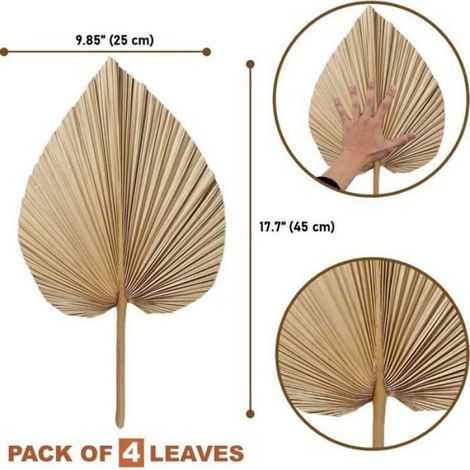 Feuilles de palmier séchées - - Pack 4 pièces - Beige - Fibre naturelle - Décoration bohème et mariage (1/4)