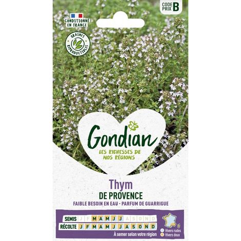 Gondian - thym de provence (1/2)