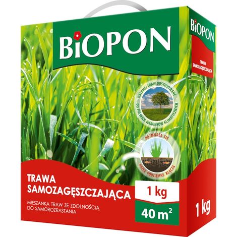 CÉSPED AUTOESPESANTE 1 KG - BR BIO-1843