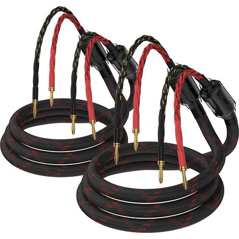 Câble de haut-parleur avec fiches banane pour haut-parleur HiFi OFC Braid avec fiche banane pour haut-parleur, amplificateur Home Theatre, concerts, KTV. (3 m) (1/5)
