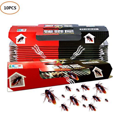 10 Pièges à Cafards Adhésifs Forts - Planches Collantes Anti-Insectes - Appât Tueur Répulsif (1/5)