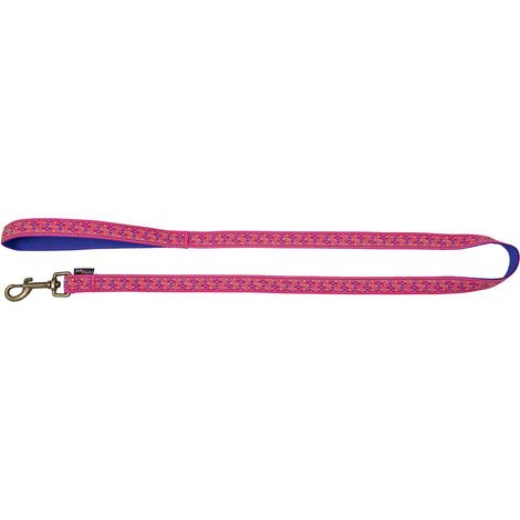 Laisse pour Chien 120 cm x 20 mm Fuchsia