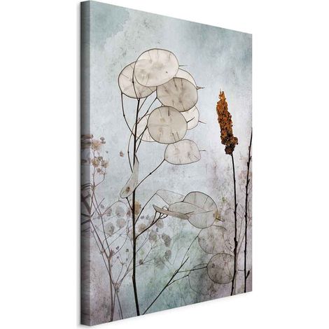 Immagine - Frutti di Lunaria (1 parte) verticale (1/5)