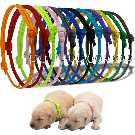 12 Colliers pour Chiot Naissance, Collier Identification Chiot Réglable en 12 Couleurs, Collier pour Chaton et Nouveau-nés, Lot de Reconnaissance pour Portée, Taille S (Max 6.5cm) (1/5)