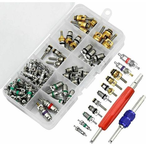 102Pcs Noyau De Valve De Climatisation, R134A Noyaux De Tige De Soupape De Climatisation Automobile Avec Outil De Suppression Pour La Rparation De L\'Air De Voiture