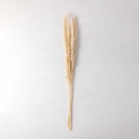 Confezione da 6 rami secchi decorativi Megina SKLUM            