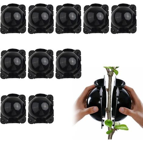 Boîtes d’enracinement pour plantes – Lot de 10 billes de propagation haute pression, noir, taille S, idéales pour greffage et formation racinaire (1/4)