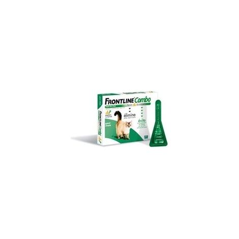 Les Tendances – Frontline Combo chat – 6 pipettes antiparasitaires – Efficace contre puces et tiques – Prévention des larves et œufs