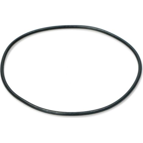 Didiesse Ricambi Frog Guarnizione O-Ring Termoblocco Coper.FR058