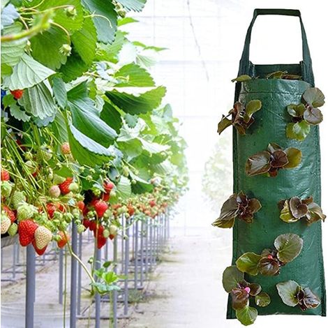 Lot de 2 sacs suspendus à la fraise 8 trous sacs de culture suspendus sacs de culture de tomate fraise intérieur extérieur plantation verticale légumes herbes fleurs (1/4)