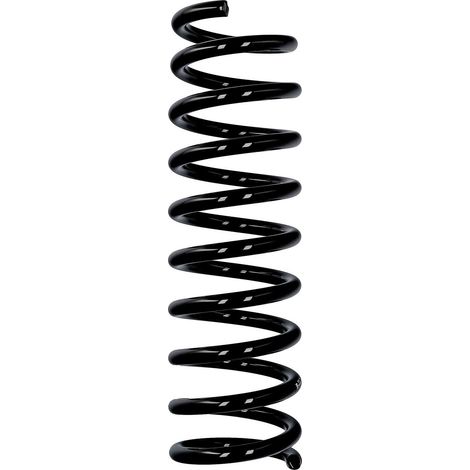 Molla di serie Eibach ERL per Ford posteriore R10361 (1/2)