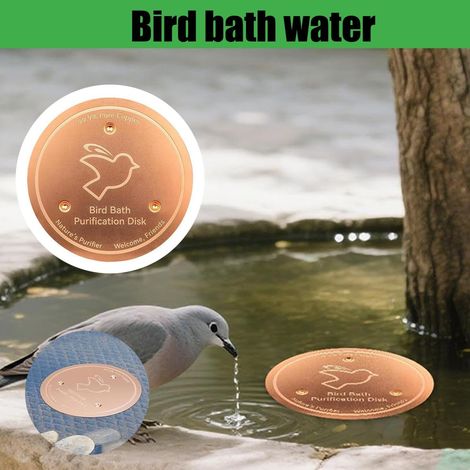 Disque en Cuivre pour Bain d'oiseaux, Bain Oiseaux Disque Cuivre, Plaque De Cuivres Pur 99,99%, Disques De Purification avec Conception Stable À 3 Points pour Oiseaux (2PCS,A) (1/5)