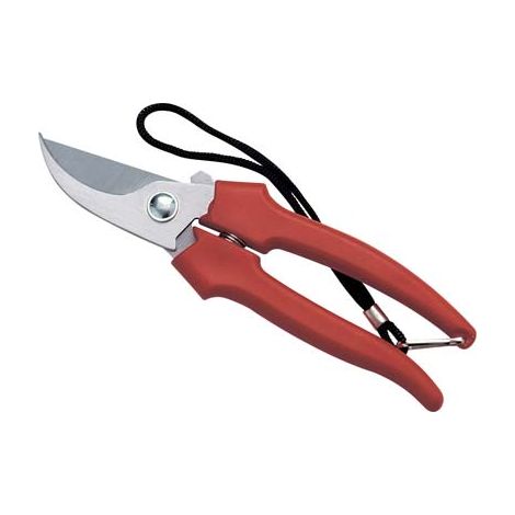 FORBICE RACCOLTA A MEZZALUNA AUSONIA - CM 19- 12 pezzi
