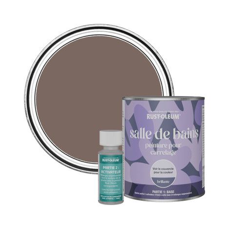Peinture pour Carrelage de Salle de Bain, Finition Brillante - Torrent 750ml (1/2)