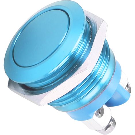 Bouton-Poussoir Inox 16mm Étanche IP67 Auto-Rétablissement 220V Tête Plate Bleu