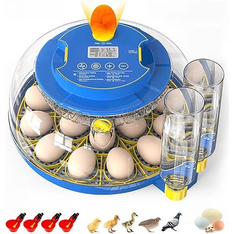 Egg Incubator Egg Incubator for Chicks, Thermal Control, Automatic Rotation, Humidity Adjustable, for Chickens, Quail, Ducks (1/5)